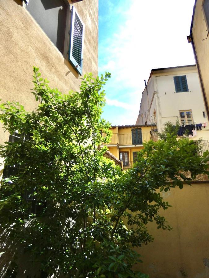 Maila Apartments 25Min From Florence Prato  Exteriér fotografie